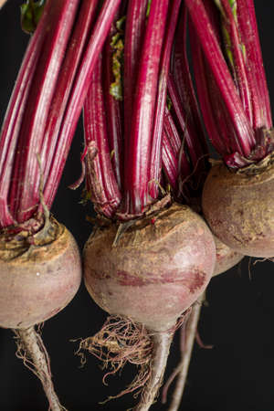 Young raw red beets roots with leaves, new harvestの写真素材