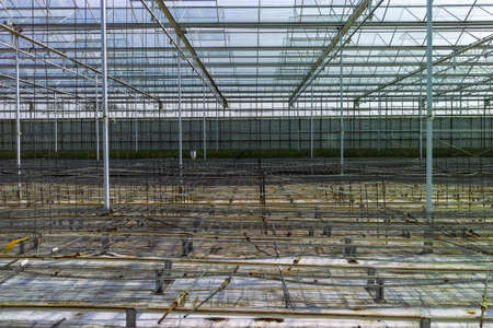 Old empty big greenhouse, view inside