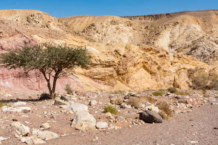 Beautiful geological formation in desert, colorful sandstone canyon walking route, Red Canyon in Negev desert, Israelの写真素材