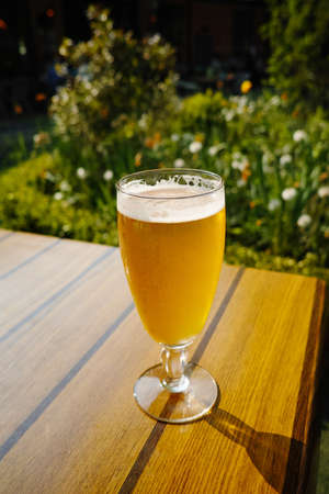 One cold light unfiltered beer in glass served on sunny outdoor terrace in gardenの写真素材