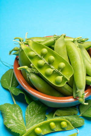 Fresh green ripe sugar snaps, sweet peas in bowl copy space close up on blue backgroundの写真素材