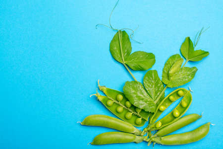 Fresh green ripe sugar snaps, sweet peas copy space close up on blue background, flat lay food conceptの写真素材