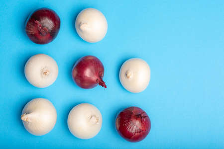Trendy flat lay food concept on blue background, group of white and red onions close up copy space isolatedの写真素材