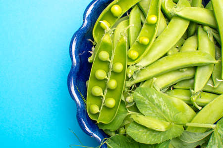 Fresh green ripe sugar snaps, sweet peas in bowl copy space close up on blue background