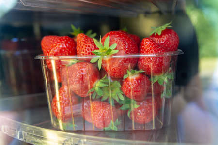 Strawberry vending machine, ripe big red strawberries for sale, new harvest, sweet tasty organic berryの写真素材