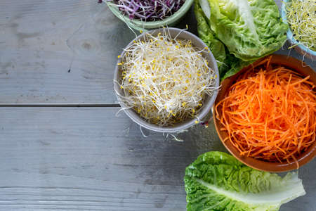 Raw fresh young organic sprouts of leek, alfalfa, red reddish in bowls, carrot and green lettuceの写真素材