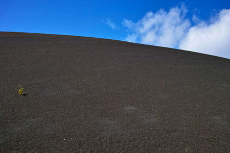 Views on black lava mountains during guided hiking discovery tour Termesana route in Timanfaya national park, Lanzarote, Canary, Spain.の写真素材