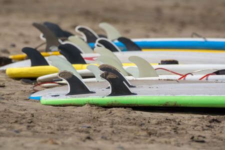 Surf boards on sandy beach, surfschool Famara beach, Lanzaroteの写真素材