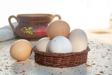 Fresh organic chicken eggs from cage free bio farm