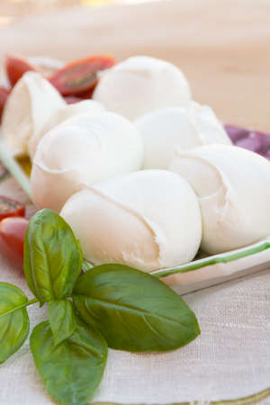 Fresh soft Italian white cheese mozzarella buffalo, original from Campania, Paestrum and Foggia regions, South Italy, served with tomatoes and fresh basilの写真素材