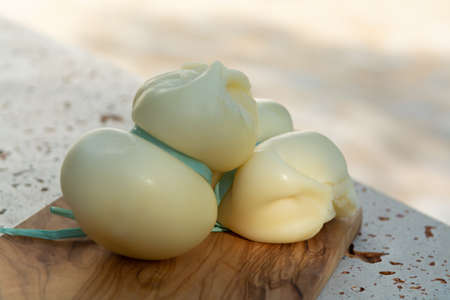 Fresh South Italian traditional cow or cow and sheep semi-soft cheese Scamorza ready to eatの写真素材