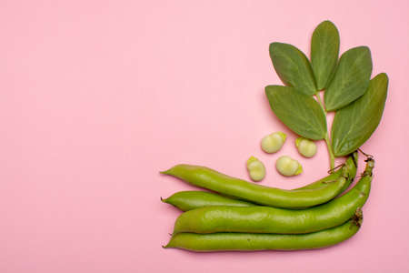 Flat lay food concept with fresh green ripe bread beans copy space close up isolated on pink backgroundの写真素材