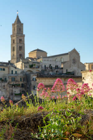 European Capital of CultureÂ in 2019 year, streets of ancient city of Matera, capital of Basilicata, Southern Italy in early morningの写真素材