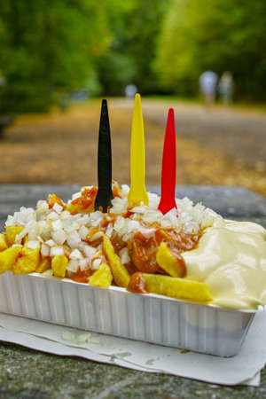 Traditional Belgian fast food, fried potatoes chips with mayonnaise, sate souse and onion served...