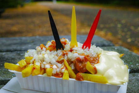 Traditional Belgian fast food, fried potatoes chips with mayonnaise, sate souse and onion served...