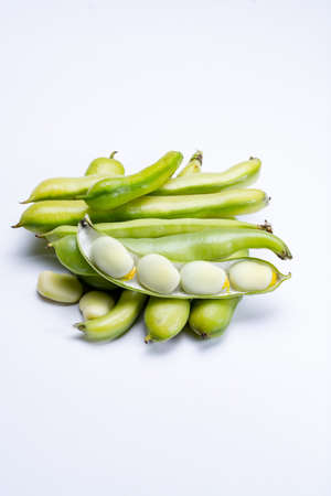 New harvest of healthy vegetables, green fresh raw big broad beans close up isolated on white...