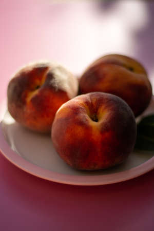 Three whole ripe peaches fruits close up on pink board and table in sunlightsの写真素材