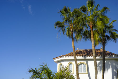 Undefined luxury white house for sale or for rent, modern house with big palm trees and high stone fenceのeditorial素材