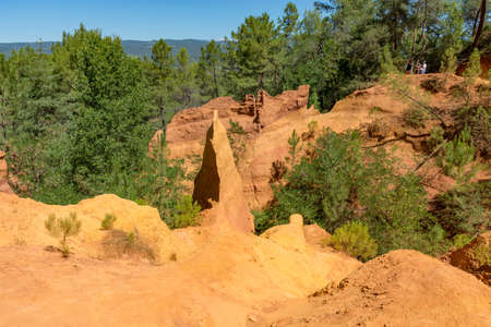 Pine forest and orange ocher soil in Roussillon village, Luberon national park, Provence, France