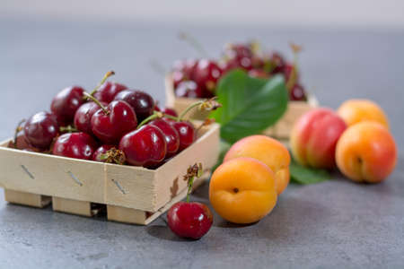 Fresh ripe sour cherry and apricot, new harvest from farm orchard close upの写真素材