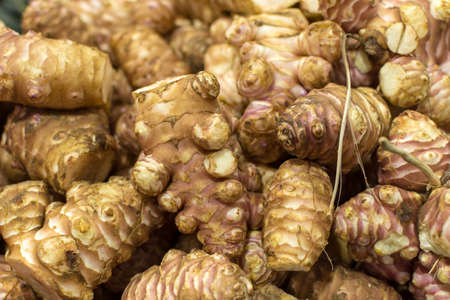 Alpinia galanga root or laos, herb used in Southern Asia cuisine and Chinese medicine