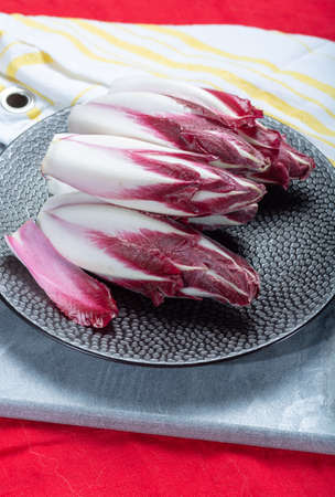 Group of fresh red Radicchio chicory or Belgian endive vegetables, also known as witlof salade,...