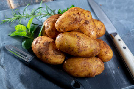 New harvest potatoes not washed with soil on tableの写真素材