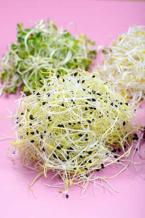 Healthy diet vegetarian ingredient for salads, young sprouts of leek, radish, broccoli, alfa alfa,...