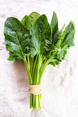 Bunch of green fresh organic spinach leaves close up copy space top viewの写真素材