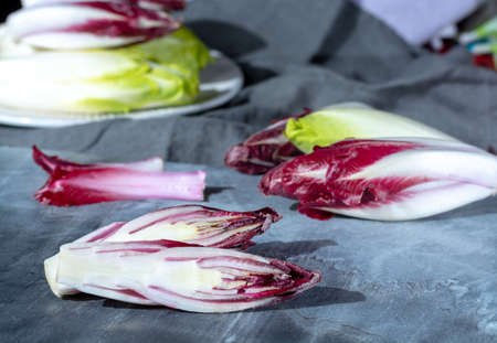 Group of fresh green Belgian endive or chicory and red Radicchio vegetables, also known as witlof salade close upの写真素材