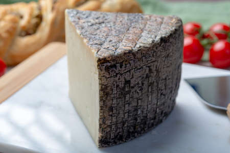 Italian cheese, piece of mature Tuscan Pecorino sheep cheese served with olive bread and tomatoes...