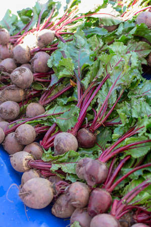 Farmer market in Nafplio, Greece, new harvest of red beetroot vegetable, fresh and healthy organic...