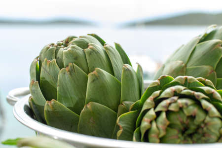 Heads flowers of fresh raw green artichokes plants from artichoke plantation, new harvest in Argolida, Greece, ready to cook with fresh lemonの写真素材