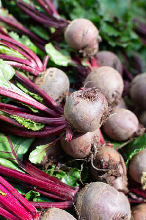 Farmer market in Nafplio, Greece, new harvest of red beetroot vegetable, fresh and healthy organic food close upの写真素材