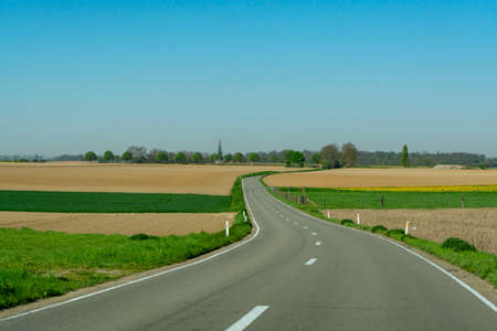 Asphalt road and spring landscape with farmers plowed fields and green grass, nature background