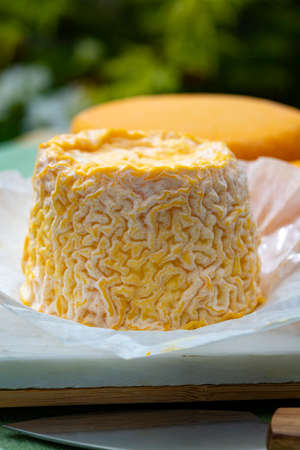 French cheeses collection, Langres and Le peche des bons peres cheeses served with grapes on white...