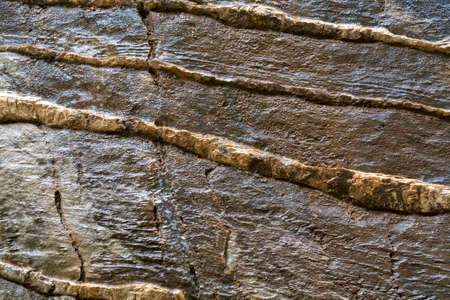 Abstract background with golden color mineral rock texture close up copy space