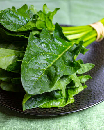 Bunch of green fresh organic spinach leaves close up