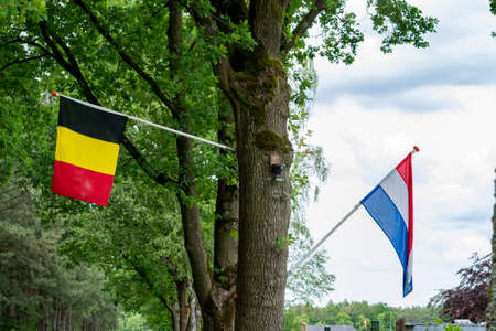 Borders inside European Union between Netherlands and Belgium, only two flags on treeの写真素材