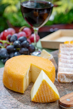 French cheeses collection, yellow Riche de Saveurs, Vieux Pane and Le peche des bons peres cheeses...