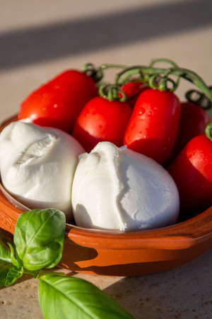Cheese collection, Italian mozzarella soft cheese in balls served with tomatoes and fresh basilの写真素材
