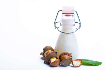 Skin and hair care product, creme or shampoo made from natural macadamia oil in bottle and macadamia nuts isolated on white background copy spaceの写真素材