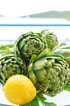 Bunch of fresh raw artichokes heads from artichoke plantation, new harvest in Argolida, Greece, ready to cook with fresh lemonの写真素材