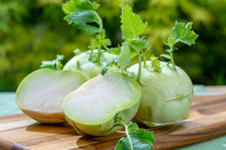 Heads of fresh ripe bio white cabbage kohlrabi from organic farm, close upの写真素材