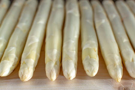 New harvest of white asparagus, high quality raw asparagus in line on table in spring season, ready to cook close upの写真素材