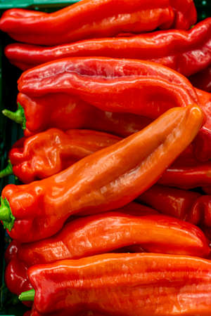 Fresh spanish red sweet paprika vegetables close up