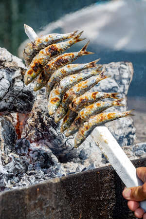 Sardines espeto, Malaga style fish on stick barbecue prepared on olive tree firewoods on beachの写真素材