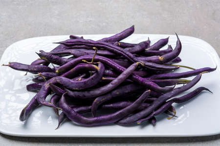 Magic colorful purple beans which turn Green after cooking, fresh healthy vegetables close up