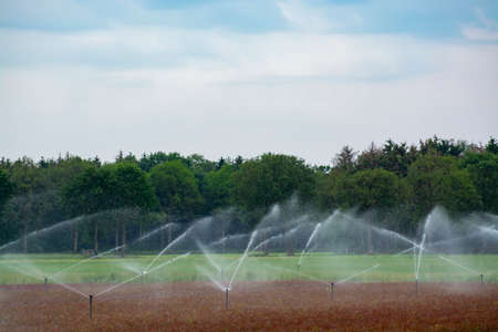 Field irrigation system with water sprinklers working on farm field