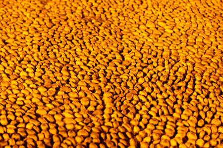 Abstract golden orange background with texture of small round stones, wallpaper